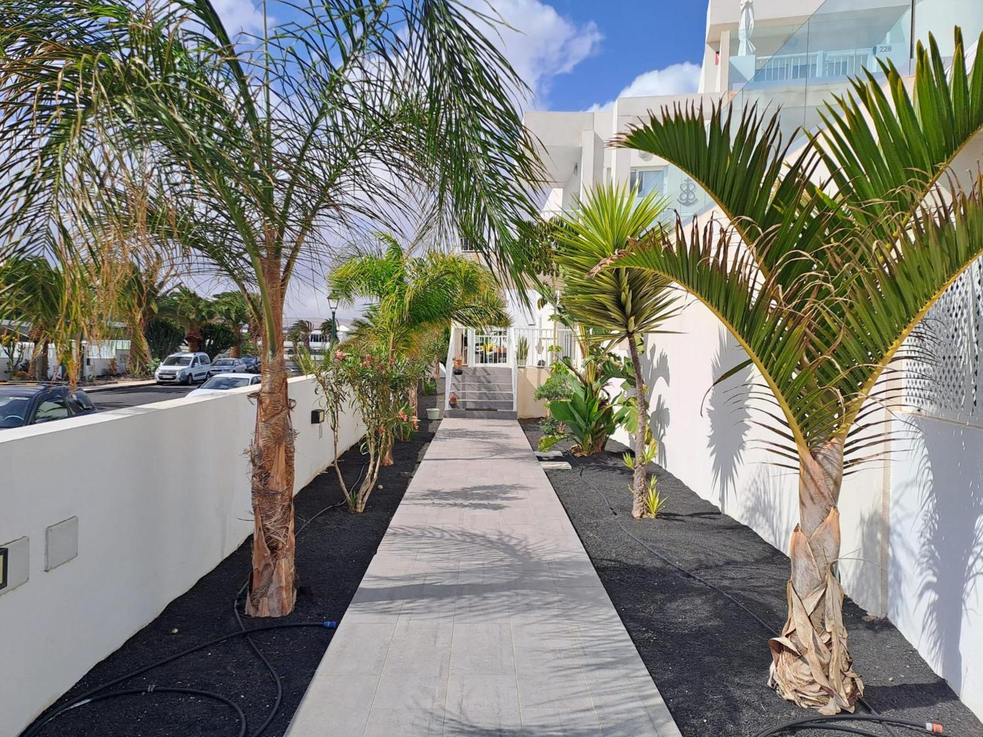 Luxury Sea View Senator Lanzarote Apartment Коста Тегисе Екстериор снимка